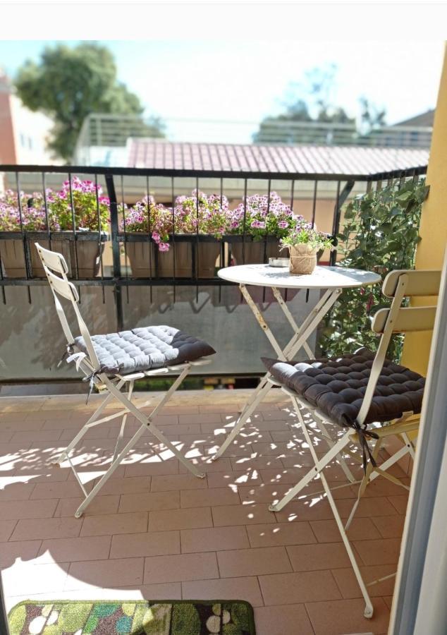 B&B La Palmetta Civitavecchia Exterior foto
